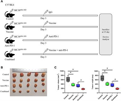 PD-1 blockage combined with vaccine therapy can facilitate immune infiltration in tumor microenvironment of Lynch syndrome colon cancer